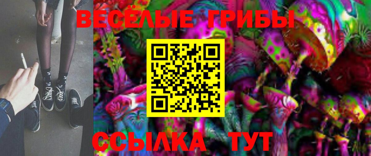 Каннабис  Вход с VPN  ТГК  ГАШИШ  Новошахтинск  Меф МЯУ МЯУ  