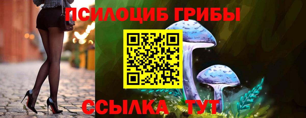 цены наркотик  Вход с VPN  Новошахтинск  Галлюциногенные грибы MAGIC MUSHROOMS 